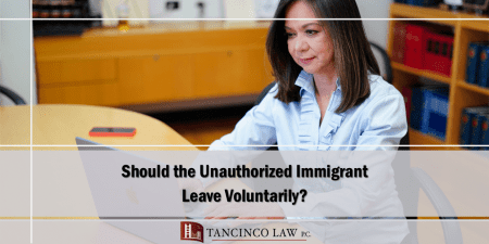 Should the Unauthorized Immigrant Leave Voluntarily?