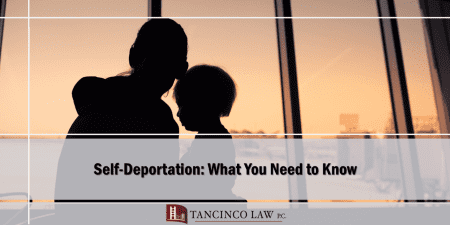 Self Deportation What You Need to Know